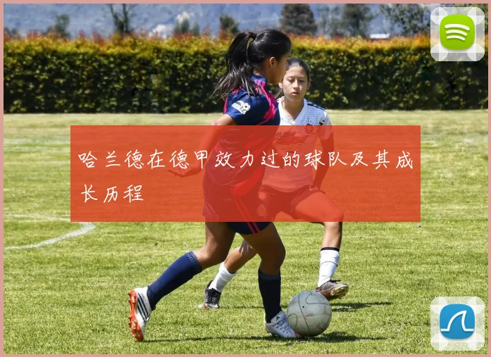 哈兰德在德甲效力过的球队及其成长历程