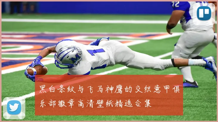 黑白条纹与飞马神鹰的交织意甲俱乐部徽章高清壁纸精选合集