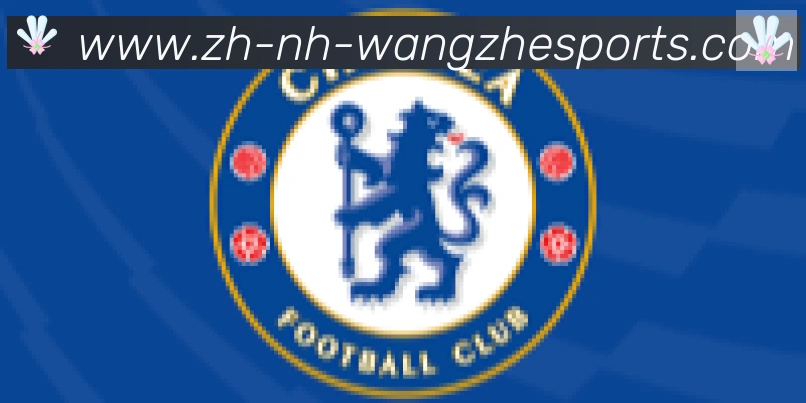 王者体育合作伙伴